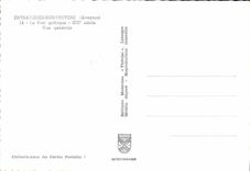 CPA Entraygues sur Truyere Aveyron Le Pont gothique Vue generale 