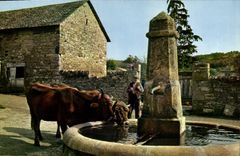 CPA En Parcourant L'Auvergne L'Abreuvoir 