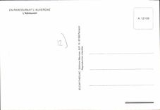 CPA En Parcourant L'Auvergne L'Abreuvoir