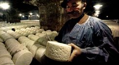 CPA Aveyron Pittoresque A l'Interieur d'une cave l'Affinage des Fromages de Roquefort 