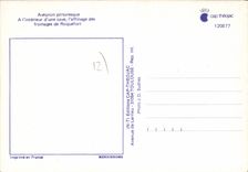 CPA Aveyron Pittoresque A l'Interieur d'une cave l'Affinage des Fromages de Roquefort