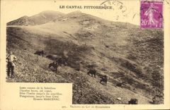 CPA Le Cantal Pittoresque Vacherie au Col de Rombiere 
