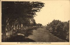 CPA Montsalvy L'Avenue ombragee d'Aurillac 