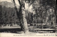 CPA L'Auvergne Pittoresque Vic sur Cere Cantal La Passerelle et le Communal 