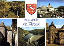 CPA Souvenir de Pleaux 