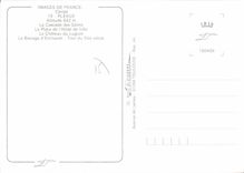CPA Souvenir de Pleaux 