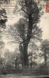 CPA DIJON jardin de l'Arquebuse Peulier noir 500 ans