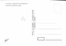 CPSM IS-sur-TILLE rives fleuries