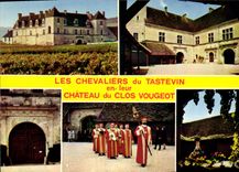 CPSM château du CLOS VOUGEOT
