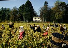 CPSM château de Pommard