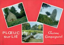 CPSM PLOUEUC sur LIE charme campagnard