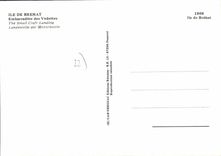 CPSM ILE DE BREHAT vedettes embarcadère