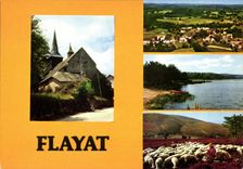 CPSM FLAYAT vue générale aérienne moutons église