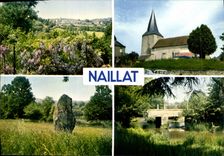 CPSM NAILLAT