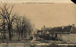 CPA Blamont Avenue Des Tilleuls En Hiver