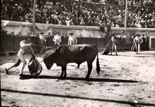 CPSM Nimes Course De Taureaux Aux Arenes mise à mort