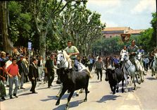 CPSM Nimes Abrivado Sur Les Boulevards