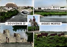 CPSM Souvenir D'Aigues Mortes