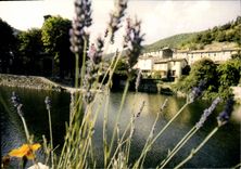 CPSM Valleraugue Ambiance Fleurie