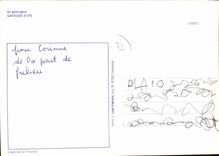 CPSM En Gascogne Gaveuse D'Oie