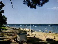 CPSM Bassin D'Arcachon Claouey La Plage au Bord du Bassin