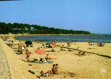 CPSM Bassin D'Arcachon Le Mauret La Grande Plage