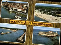 CPSM Souvenir De La Tamarissiere