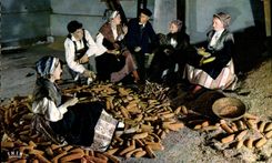 CPSM Folklore En Languedoc La Bonne Histoire maïs TERRO MOUNDINO