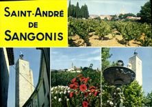 CPSM Saint Andre De Sangonis