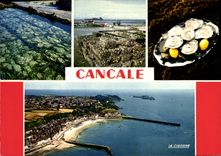 CPSM Cancale Les Huîtres Fameuses