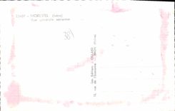 CPA Morestel Vue Generale Aerienne