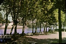 CPSM Aire Sur Adour Les Promenades Des Bords De l'adour