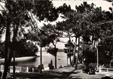 CPSM Hossegor Vue Sur Le lac Et Le Pont Du Canal
