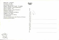 CPSM Mimizan Landes Comite Du 1er Mai chars