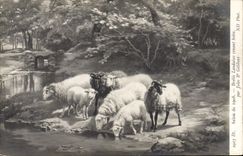 CPA Salon De 1908 Brebis Landaises Venant Boire Gélibert