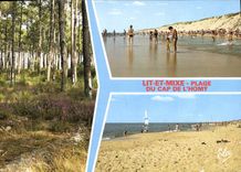 CPSM Lit Et Mixte Plage Du Cap De I'Homy