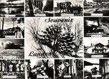 CPSM Visage Des Landes 