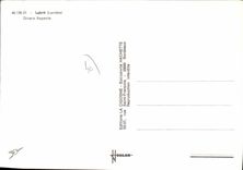 CPSM Labrit Divers Aspects