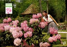 CPSM Orleans La Source parc floral