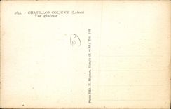 CPA Chatillon Coligny Vue Generale