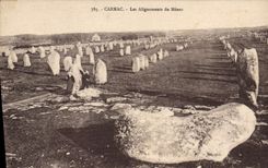 CPA Carnac Les Alignements Du Menec