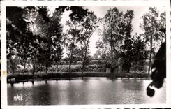 CPA Avesnes L'Etang Du Moulin St-Pierre