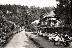 CPA Bagnoles De I'Orne hôtel de la vallée de la Cour