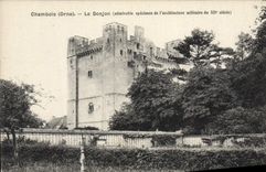 CPA Chambois Le Donjon admirable spécimen