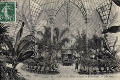 CPA Pau Le Palais D'Hiver Le Palmarium