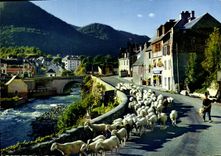 CPSM Vallee D'Aure Retour De Haute montagne ARREAU