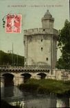 CPA Perpignan La Basse Et La Pont Du Castilet