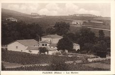 CPA Fleurie Les Moriers