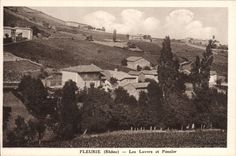 CPA Fleurie Les Lavers Et Poncier