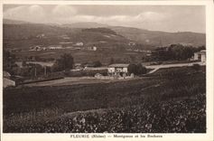 CPA Fleurie Montgenas Et Les Rochaux